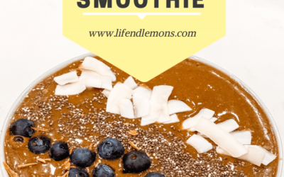 FROZEN HOT CHOCOLATE PROTEIN SMOOTHIE