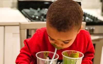 Dinosaur Smoothie Recipe